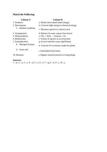 docx, 15.51 KB
