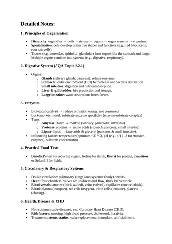 docx, 17.33 KB