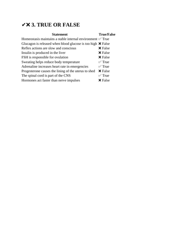 docx, 14.26 KB