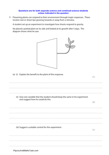 pdf, 447.86 KB