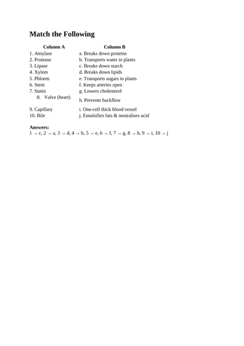 docx, 15.18 KB