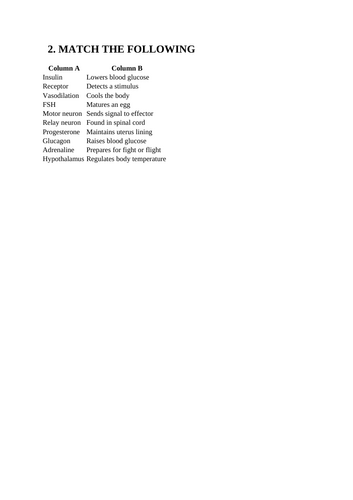 docx, 14.01 KB
