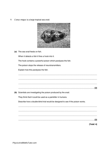 pdf, 207.03 KB