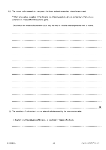 pdf, 581.21 KB