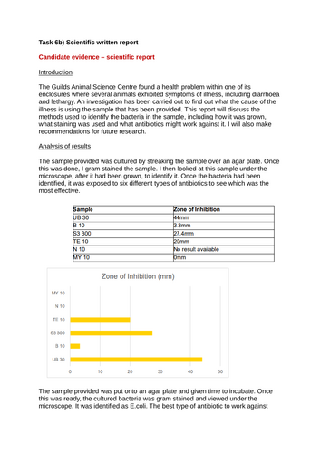 docx, 43.43 KB