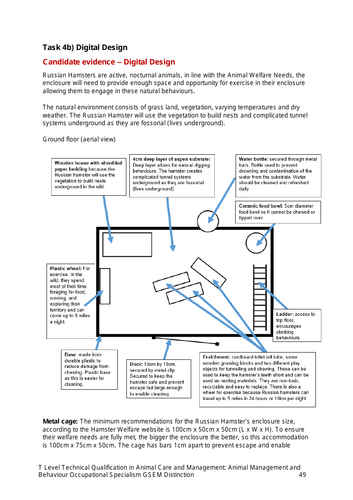 T Level Animal Management Behaviour Synoptic Assessment Prep - Lesson 7