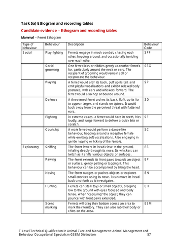 T Level Animal Management Behaviour Synoptic Assessment Prep - Lesson 8