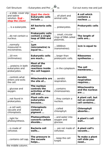 docx, 37.46 KB