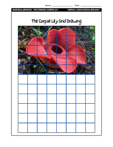 pdf, 16.67 MB
