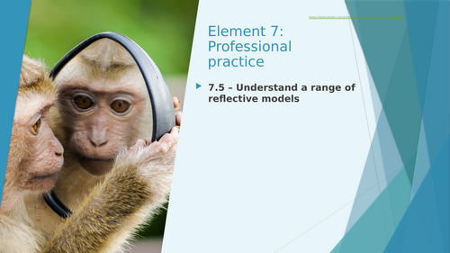 T Level Education and Childcare Element 7 Professional Practice  (Teaching from 2025)