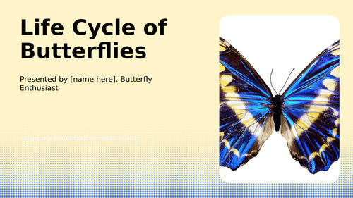 The Amazing Life Cycle of Butterflies: A Journey of Transformation ...