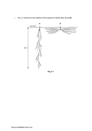 pdf, 300.5 KB