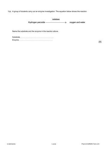 pdf, 1.01 MB