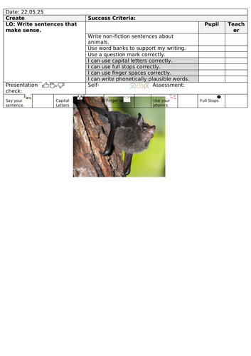 docx, 256.09 KB
