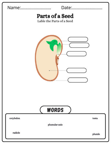 pdf, 19.07 MB
