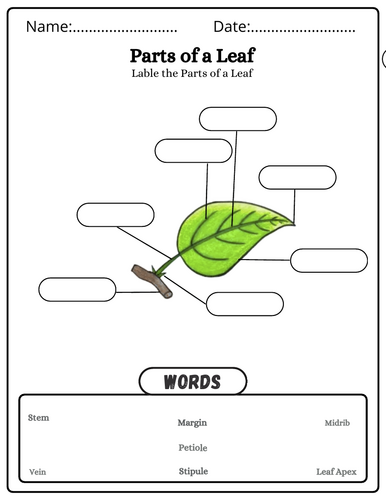 pdf, 19.1 MB