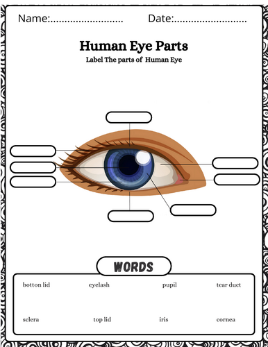 pdf, 16.22 MB