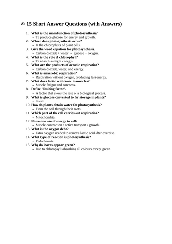 docx, 15.31 KB