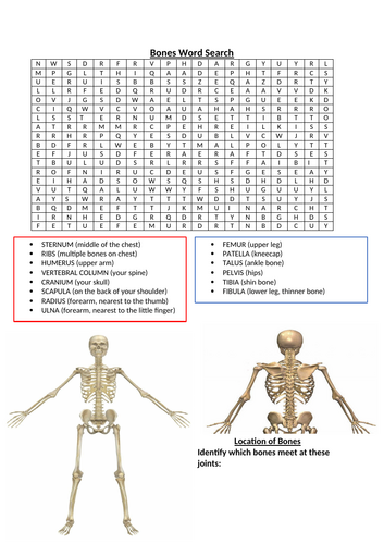 docx, 177.23 KB