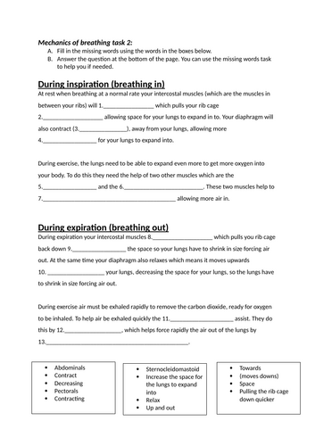 docx, 20.79 KB