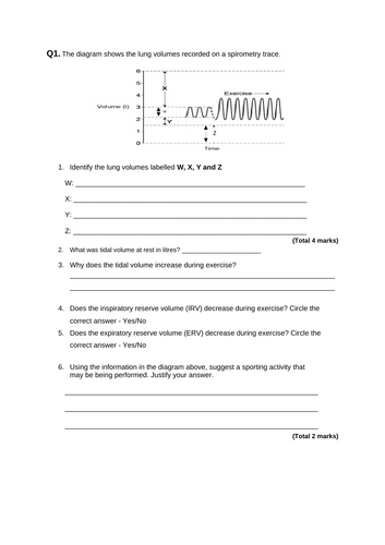 docx, 53.49 KB