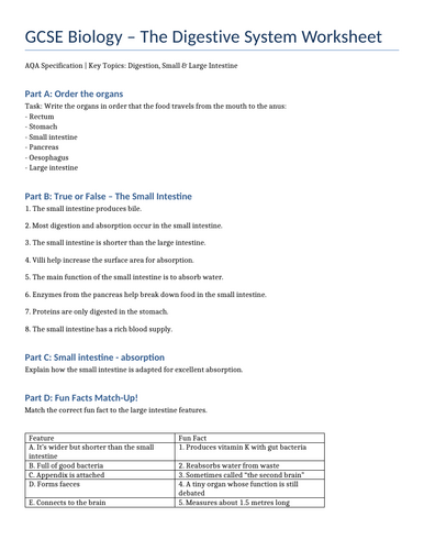 docx, 27.23 KB