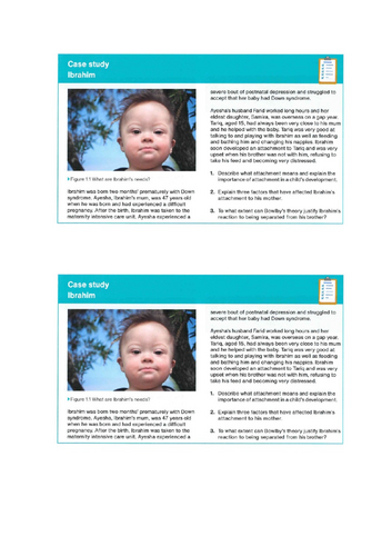 docx, 775.07 KB