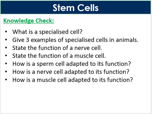 Stem Cells