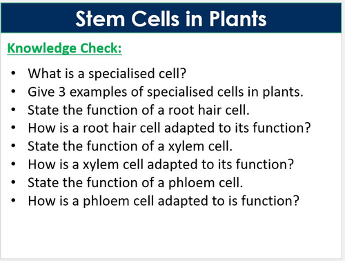 Stem Cells in Plants