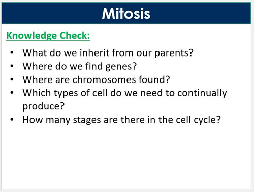 Mitosis