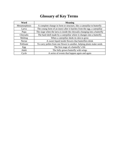 docx, 14.68 KB