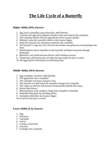 docx, 16.8 KB