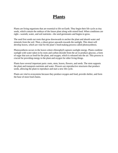 docx, 14.29 KB