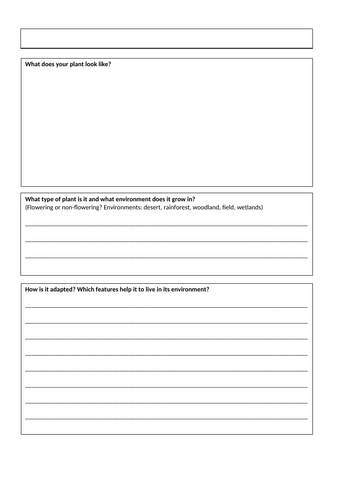 docx, 20.94 KB
