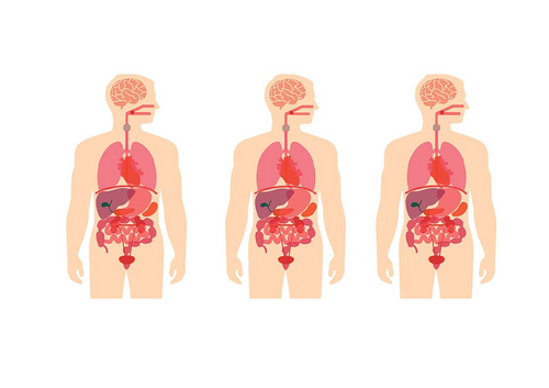 Non-specific and specific defences - T Level Health - Core B science ...