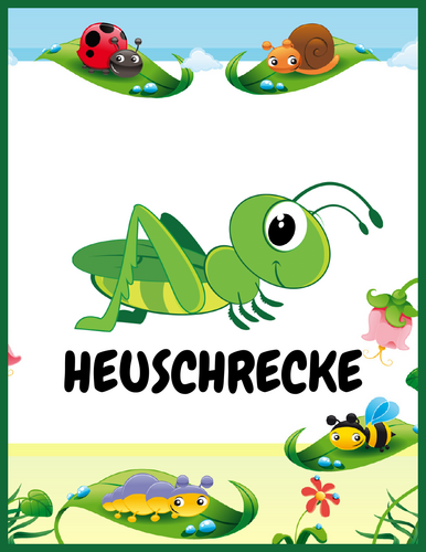 Bugs and Insects Vocabulary Flashcards: Printable Photo Cards for kids ...