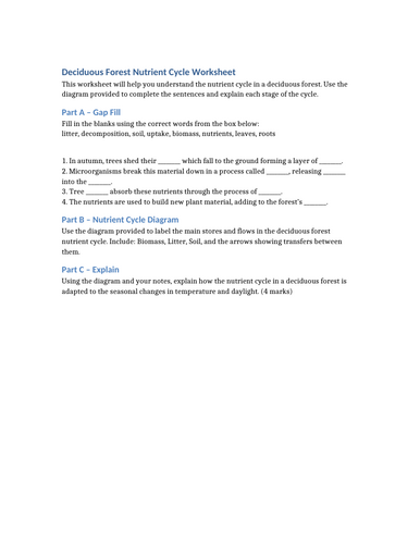 docx, 104.04 KB