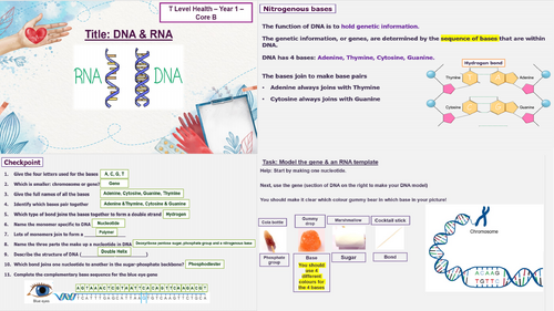 Cells & Biological molecules - B1 Science concepts - T Level Health ...