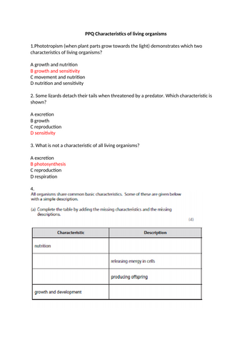 docx, 282.35 KB