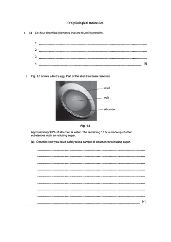 docx, 783.94 KB