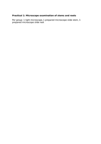 docx, 6.54 KB
