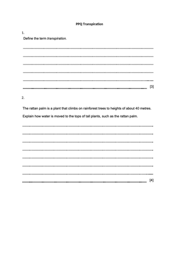 docx, 42.71 KB