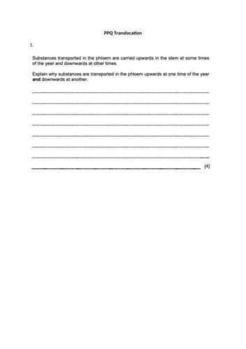 docx, 271.85 KB