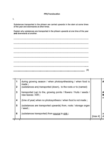 docx, 292.06 KB