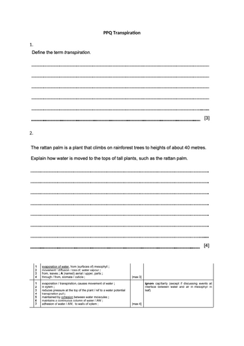 docx, 93.7 KB