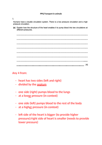 docx, 52.01 KB