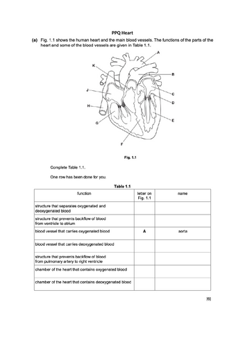 docx, 423.6 KB