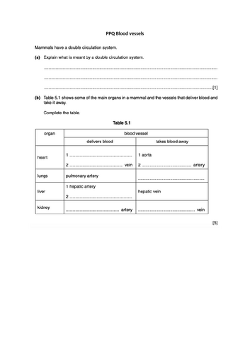docx, 168.77 KB