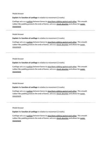 docx, 16.24 KB