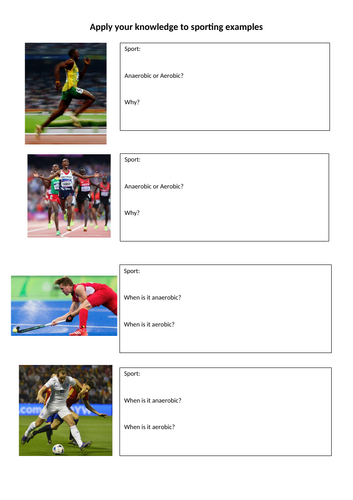 docx, 456.06 KB